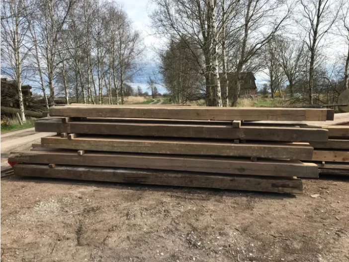 Dein Abenteuer am Nord-Ostsee-Kanal: Suche dir dein Holz für dein Wildwuchs-Unikat selbst aus