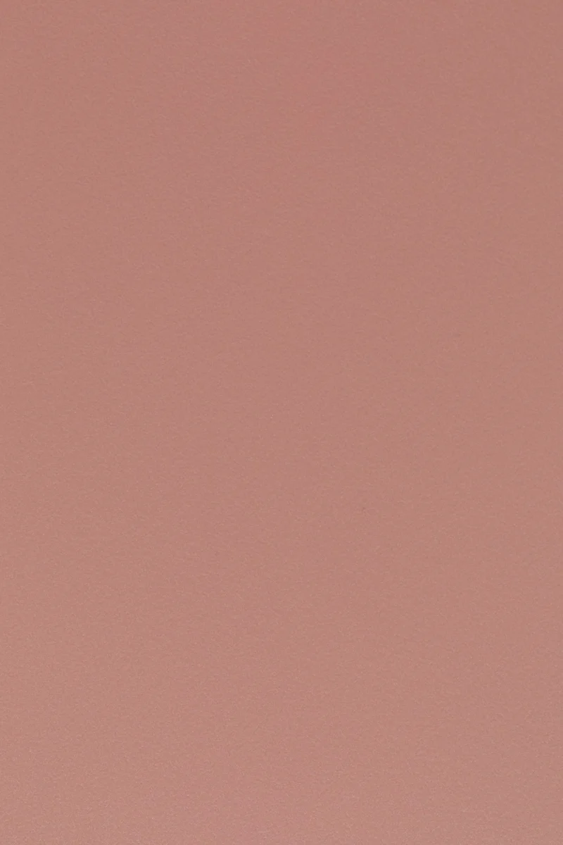 Esszimmerstuhl Gigi im 2er-Set, Rosa mit Kunststoffschale