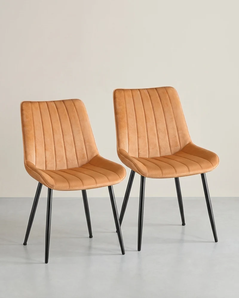 Esszimmerstuhl-Set, 2er-Set – Ergonomisches Design – Bequeme Polsterung – Stahlbeine