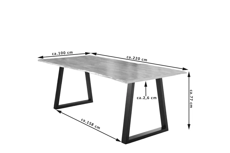 Esstisch JANUS 220