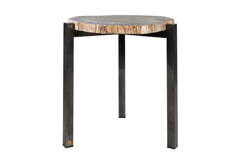 Casa Padrino Luxus Beistelltisch Braun 65 x 65 x H. 67 cm - Beistelltisch mit Tischplatte aus versteinertem Holz und Edelstahlfuß - Luxus Möbel