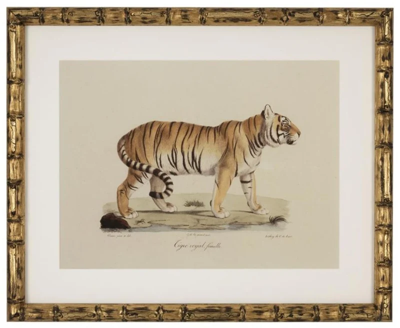 Casa Padrino Deko Bilder Set Löwen Tiger Jaguare Antik Gold 54 x H. 44 cm - Luxus Wanddekoration