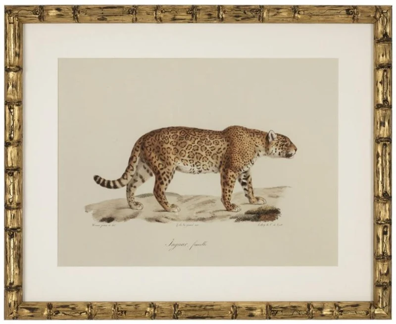 Casa Padrino Deko Bilder Set Löwen Tiger Jaguare Antik Gold 54 x H. 44 cm - Luxus Wanddekoration