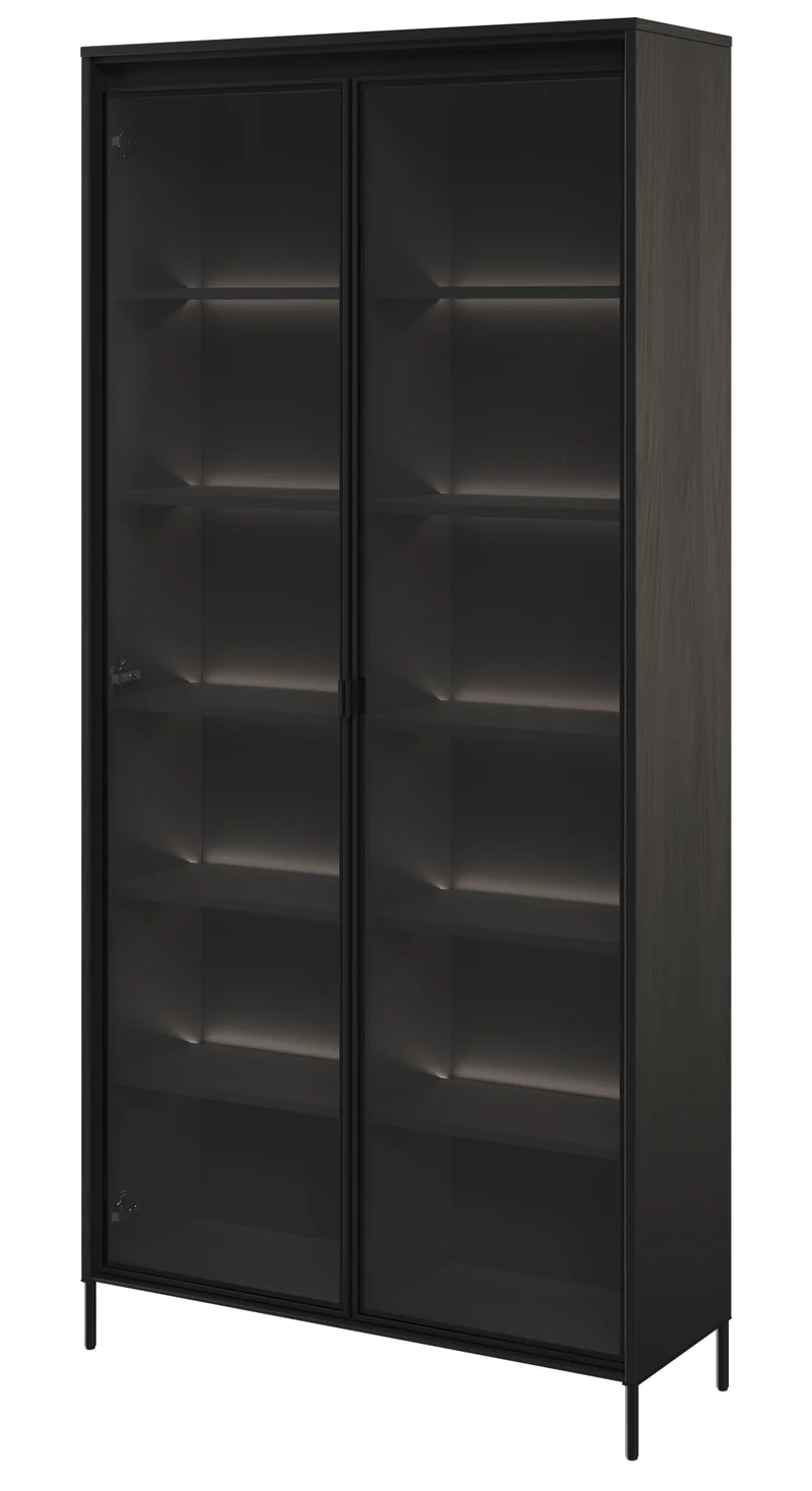 Zweiflügeliger Trend-Schrank 92 cm mit LED Schwarz
