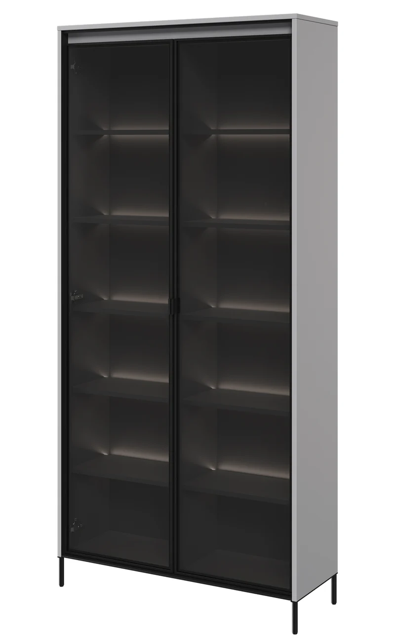Zweiflügeliger Trend-Schrank 92 cm mit LED, Grau