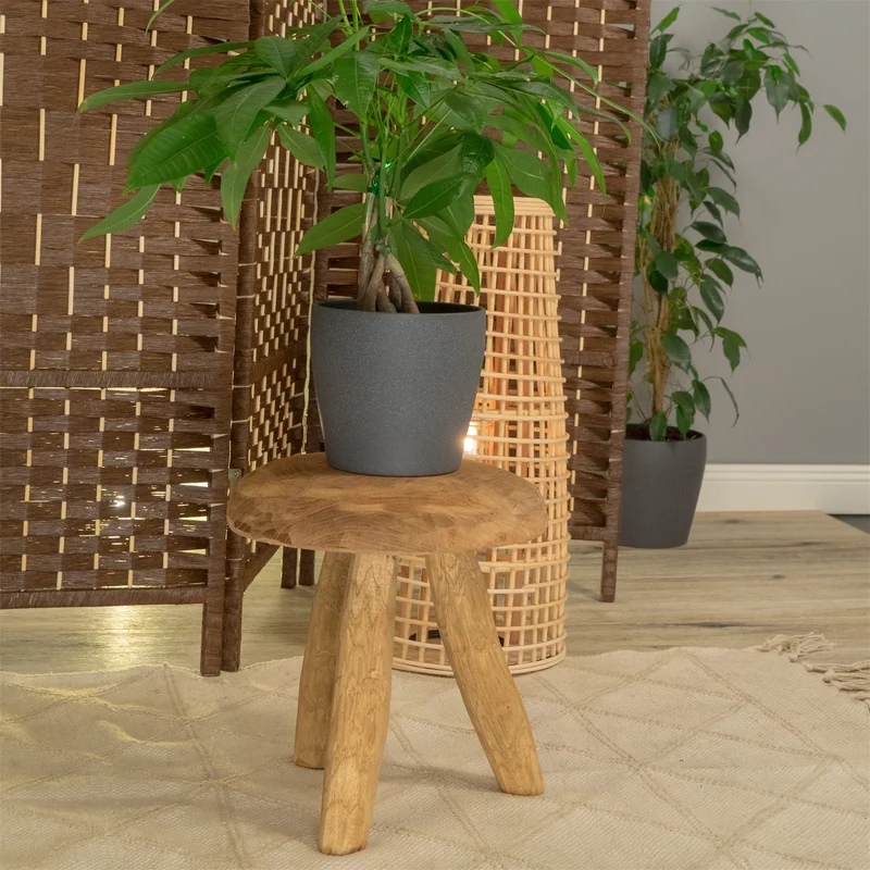 RUNDER HOCKER "KLARA" | Holz, 28 cm | Melk Schemel, Blumenhocker