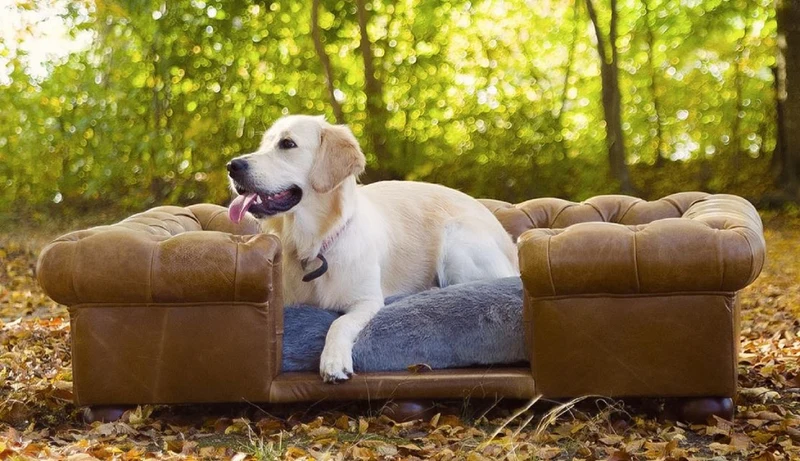 Casa Padrino Luxus Chesterfield Leder Hundebett Vintage Braun / Dunkelbraun / Grau 134 x 104 x H. 37 cm - Rechteckiges Echtleder Hundebett - Luxus Chesterfield Leder Tiermöbel