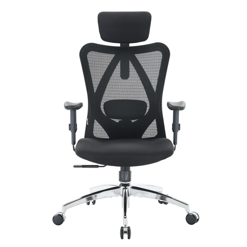 SIHOO Ergonomic Office Chair Computer Chair Desk Chair, Adjustable Headrests Chair Backrest and Armrest's Mesh Chair (Black) 🍁 All In One Marketplace Canada