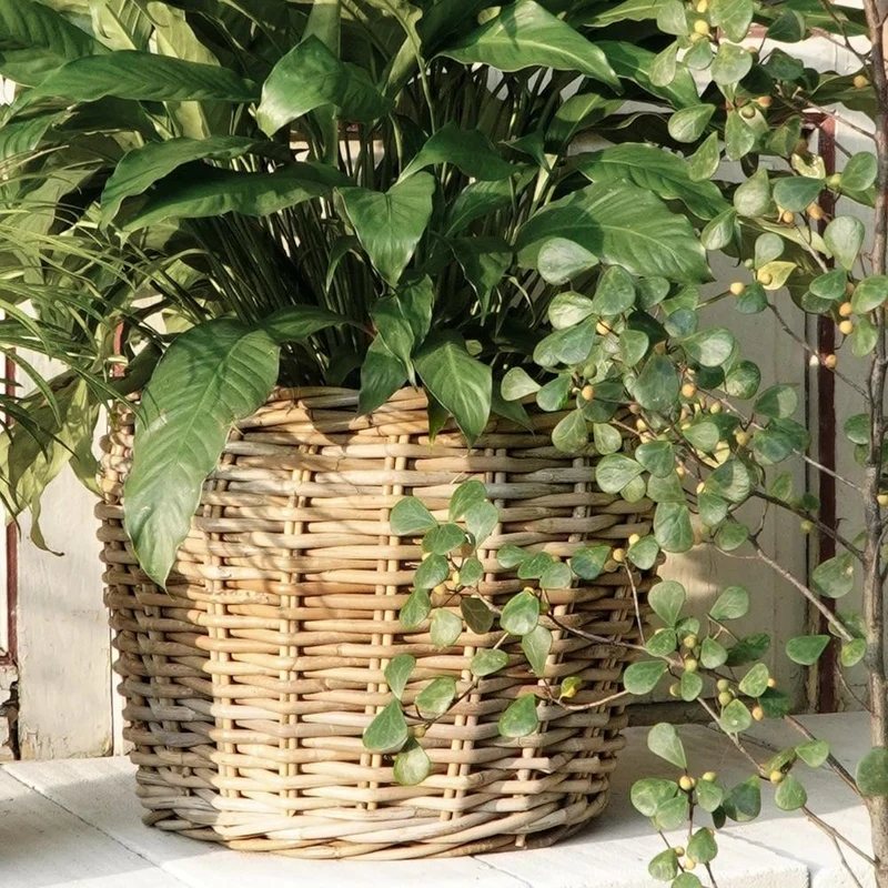 Natur Rattankorb GINI Natural Grey ca.30cm Pflanzkorb Übertopf