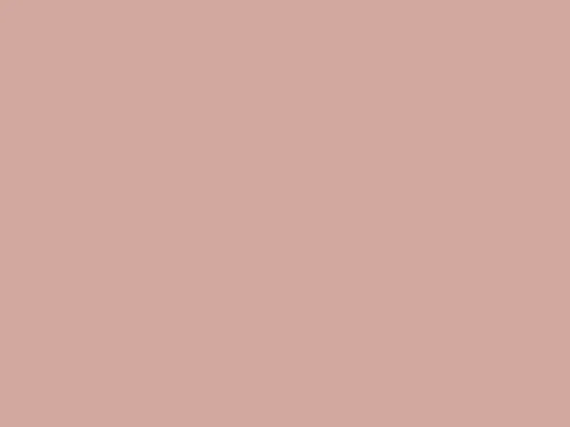 Placemats Rose 30x40 (doos van 1000 stuks)