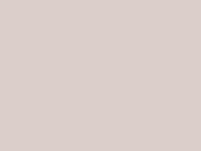 Placemats Taupe 30x40 (doos van 1000 stuks)