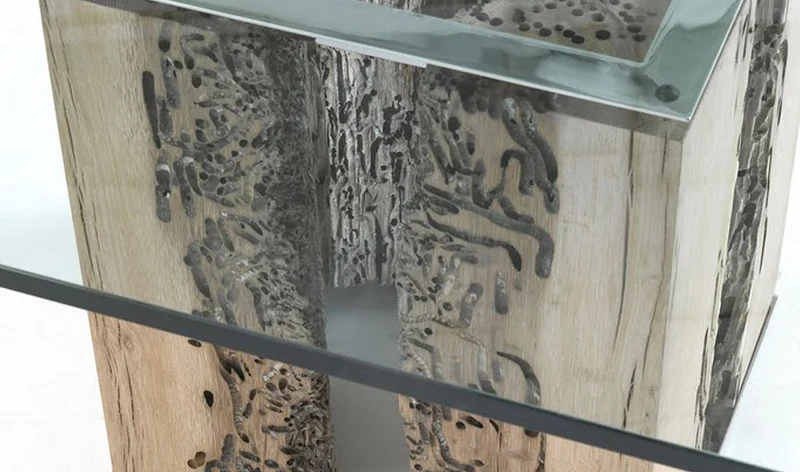 Versa - das Holz Venedigs
