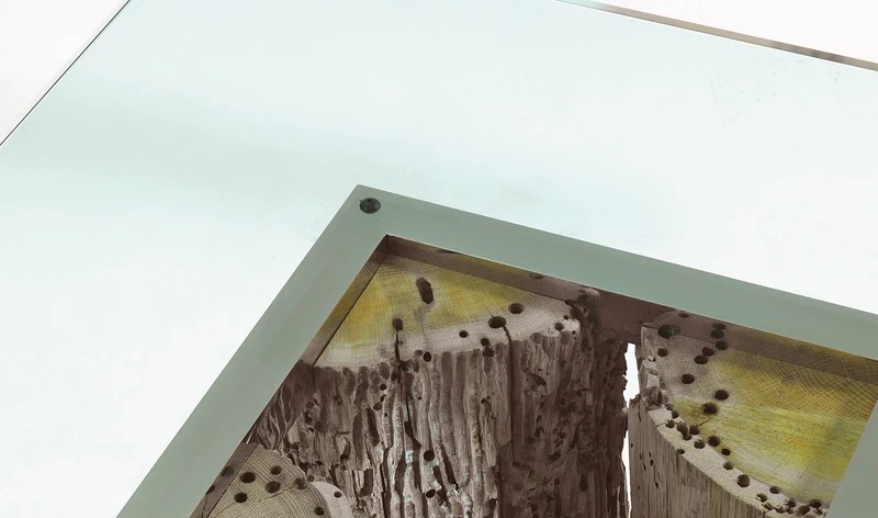 Versa - das Holz Venedigs
