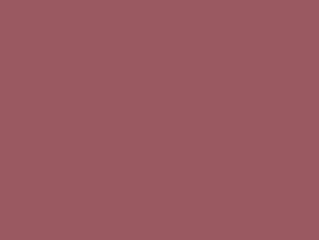 Placemats robij uni ruby doos 2.500 Stuks.
