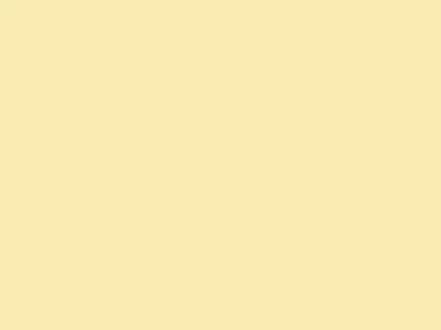 Placemats creme uni pale doos 2.500 Stuks.