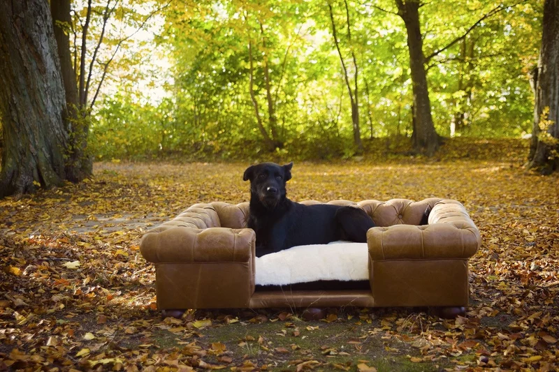 Casa Padrino Luxus Chesterfield Leder Hundebett Vintage Braun / Dunkelbraun / Weiß / Schwarz 134 x 104 x H. 37 cm - Rechteckiges Echtleder Hundebett - Luxus Chesterfield Leder Tiermöbel