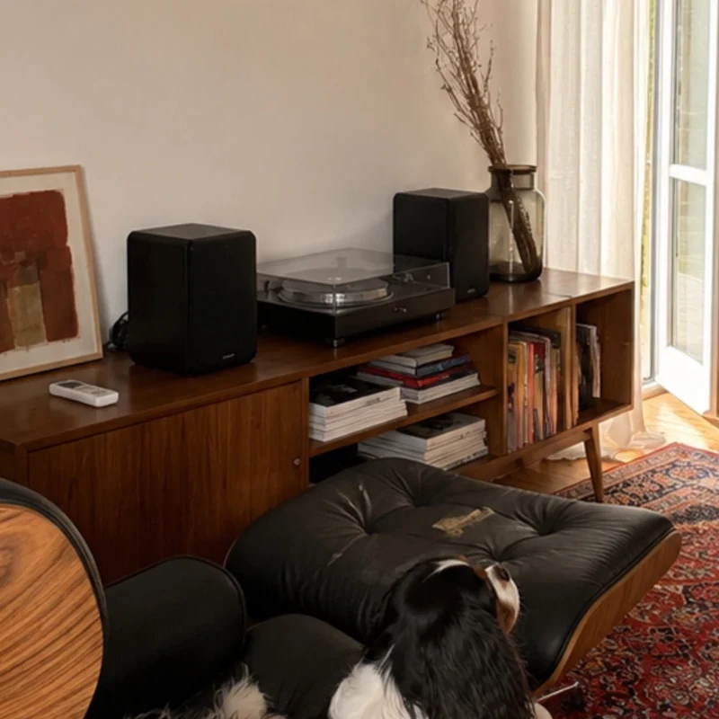 TV-Möbel LOTV VINYL