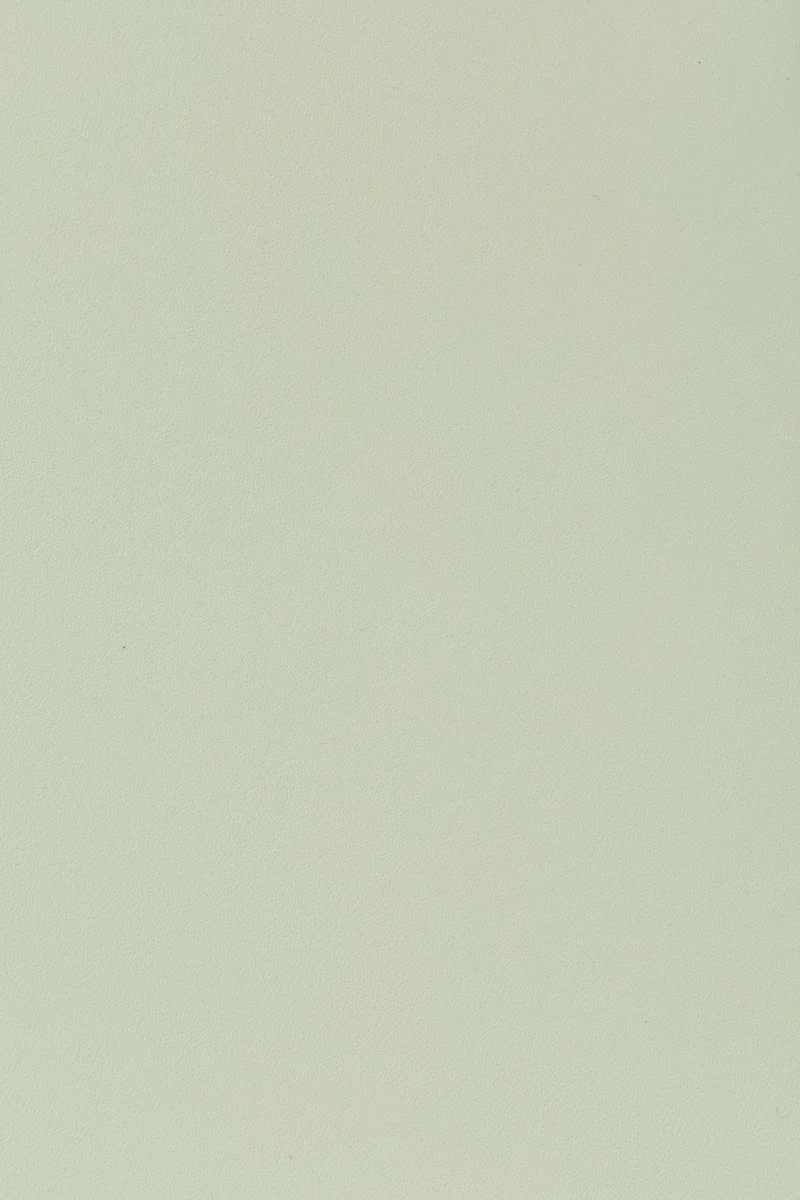 Esszimmerstuhl Clive im 4er-Set, Hellgrün aus Kunststoff, stapelbar