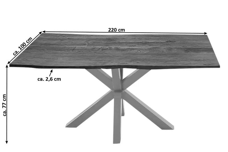 Esstisch RICCARDO 220