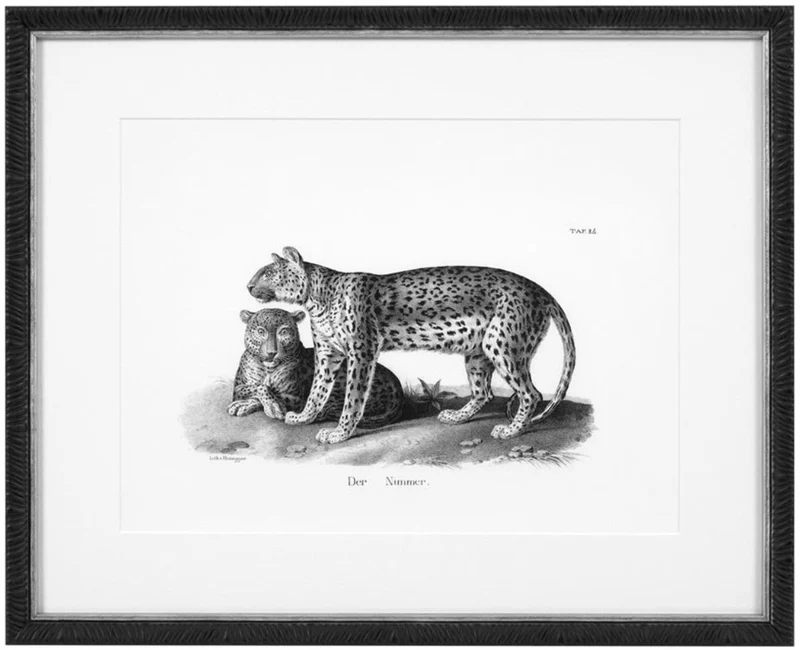 Casa Padrino Bilder 6er Set Historische Tiere Schwarz / Weiß 53,5 x H. 43,5 - Luxus Kunstdrucke mit Holzrahmen