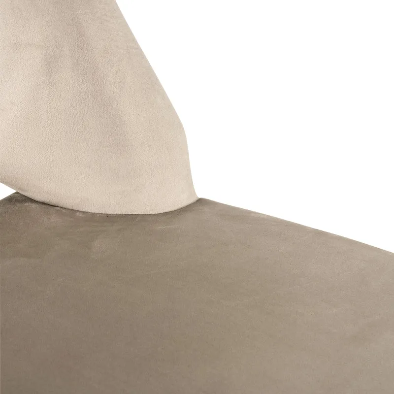 Richmond Esszimmerstuhl Tabitha Trendy Nature im 2er-Set