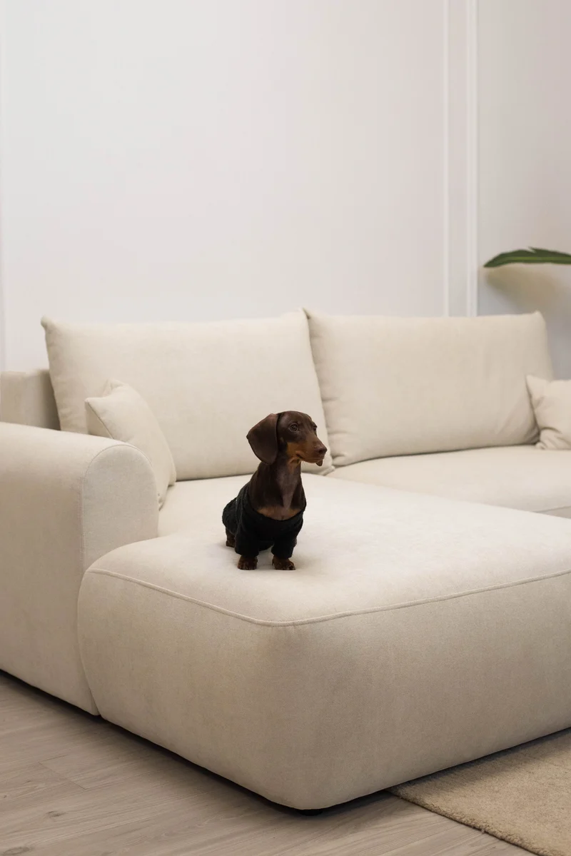 Ecksofa mit Schlaffunktion Ovo mini, L-förmig, linksseitig, mit Stauraum, cremefarben, pflegeleichter Chenille-Stoff