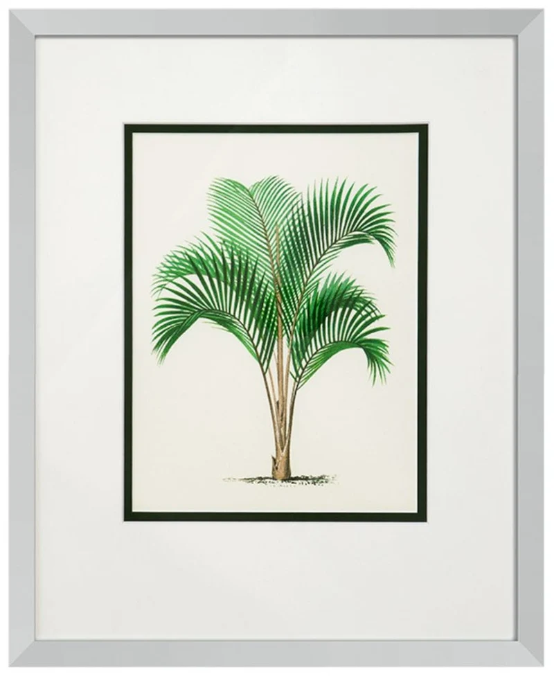 Casa Padrino Bilder / Kunstdruck 4er Set Palmen Mehrfarbig 43 x H. 53 cm - Luxus Deko