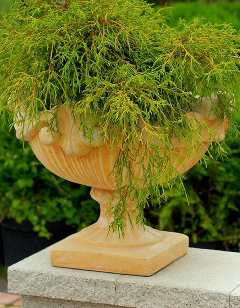 Casa Padrino Barock Blumentopf Beige Ø 46 x H. 33 cm - Runder Pflanzentopf im Barockstil - Barock Garten & Terrassen Deko